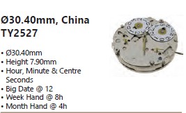 Chinese Movement Ø30.40mm, TY 2527